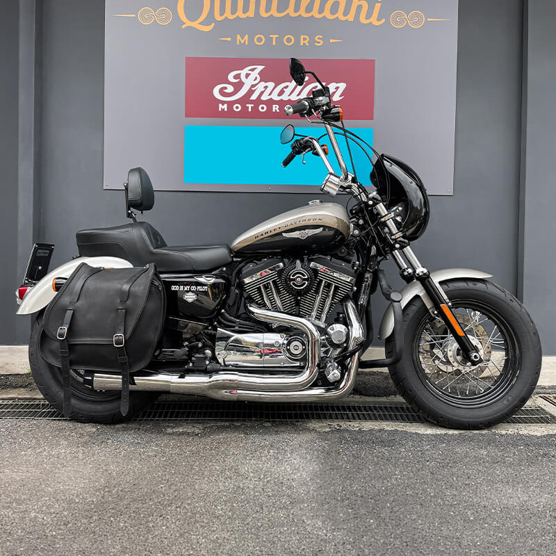 Indian Scout 101 - Scarico